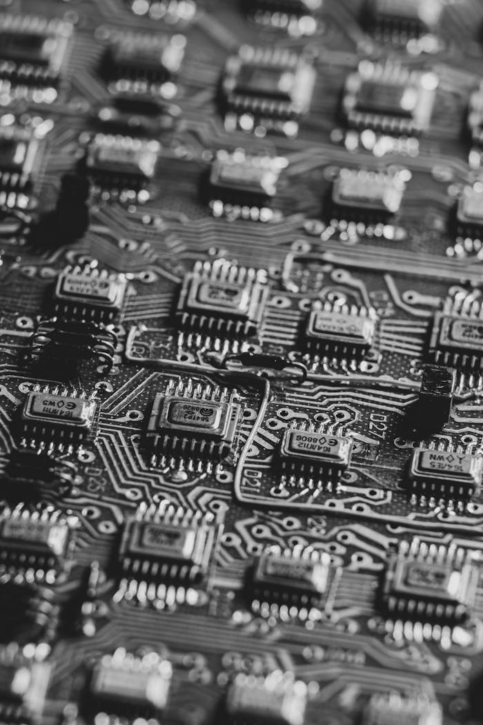 Principes High-detail black and white image focusing on microchips on a circuit board.